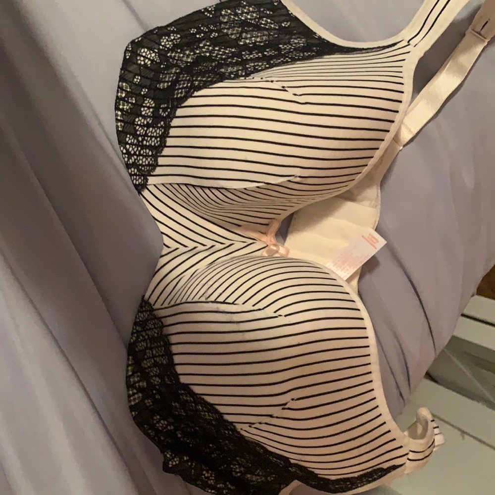 Lane Bryant cacique bra